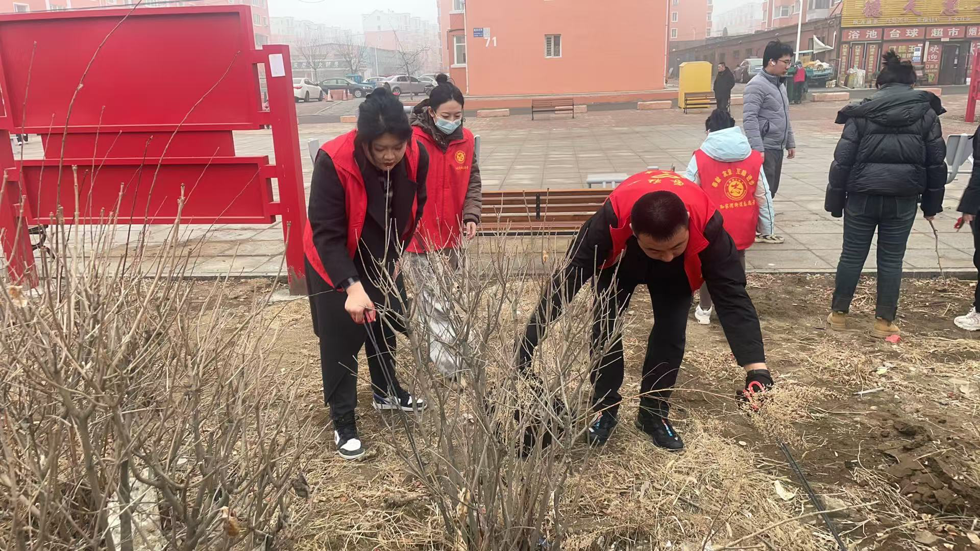 图片3.png